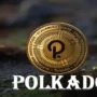 Браузерное расширение Fearless Wallet сливало приватные ключи — Polkadot Community