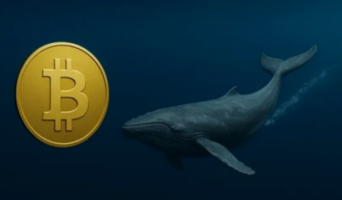 Крупные инвесторы увеличили свои запасы на 60 000 биткоинов — CryptoQuant